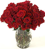Long stem roses and rose bouquets delivered