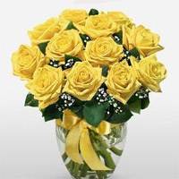 One dozen Roses for delivery, red, yellow, pink, orange,white