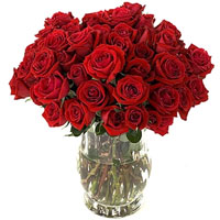 Red Roses for you spouse or lover