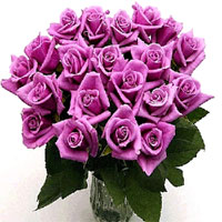 Long stem Lavender  Roses with optional vase