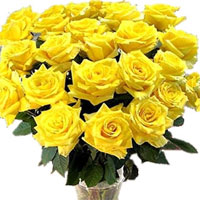 Long Stem Yellow Roses for delivery